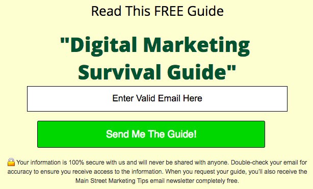 Main Street ROI&#039;s email submit form for its Marketing Survival Guide