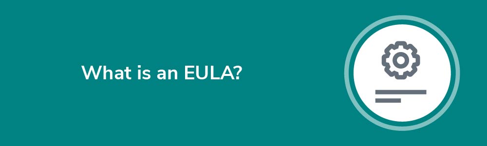 EULA Versus Terms And Conditions Privacy Policies