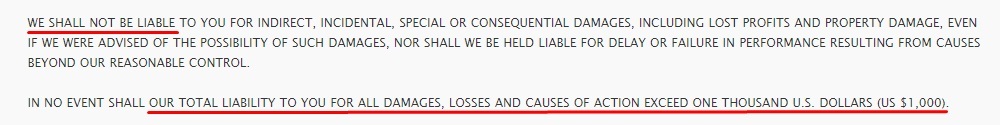 Walt Disney Company Terms of Use: Limitation of liability clause