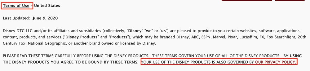 Walt Disney Company Terms of Use: Privacy Policy highlighted