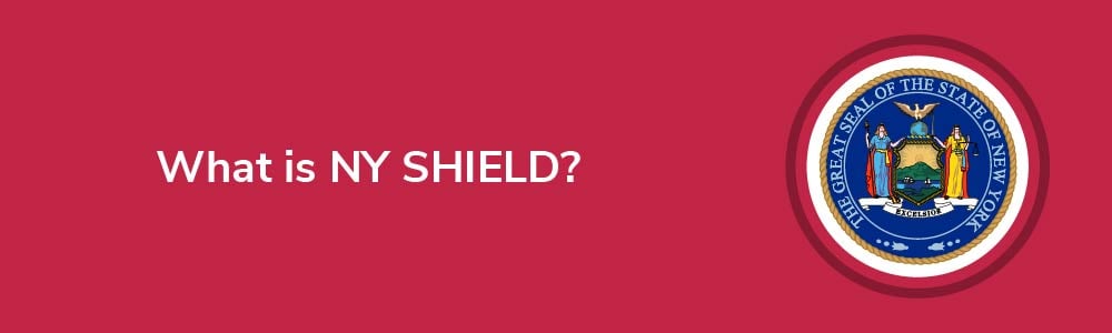 What is NY SHIELD?