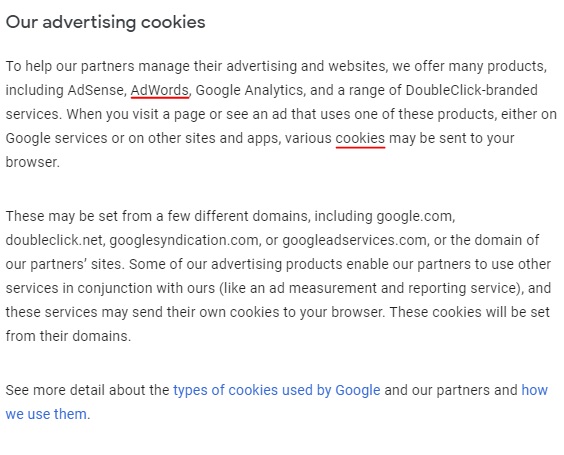 Google Privacy and Terms: How Google Uses Cookies in Advertising page excerpt