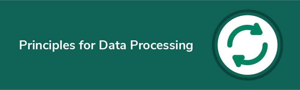 Principles for Data Processing