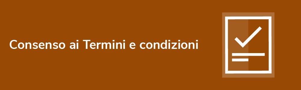 Consenso ai Termini e condizioni