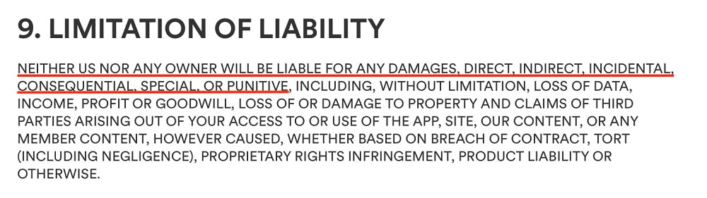 Bumble Terms and Conditions: Limitation of Liability clause