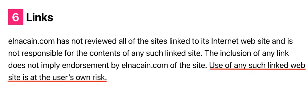 Ella Cain Terms and Conditions: Links clause with Risk disclaimer highlighted