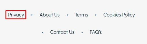 Generic website footer with Privacy link highlighted - Example