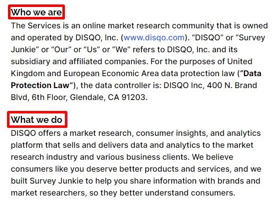 Survey Junkie Privacy and Cookies Policy for the UK and EEA: Introduction excerpt - Company information