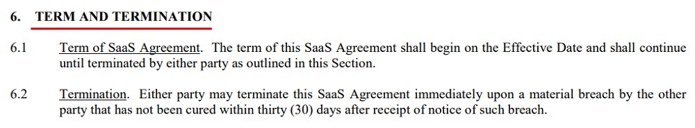SailPoint SaaS Agreement: Term and Termination clause