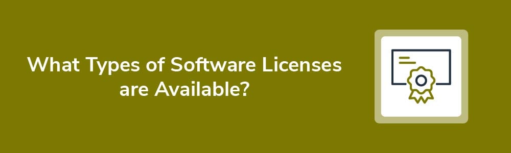 What Types of Software Licenses are Available?
